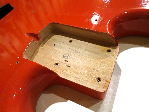 エレキギター AngryAngus Testy/DakotaRed - エレキギター 