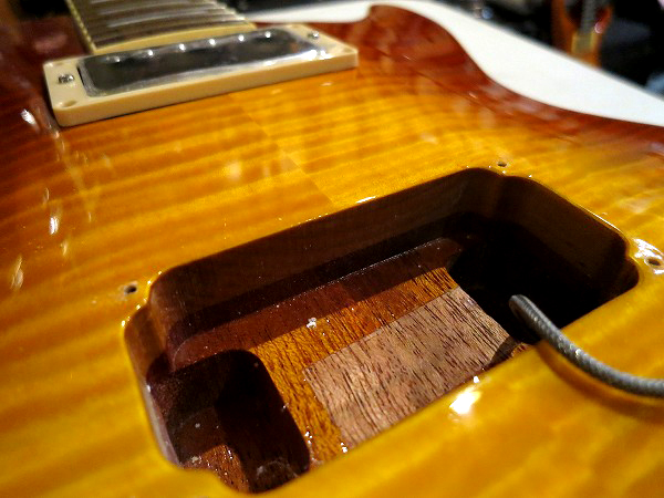 tokaihls170f (3).jpg 