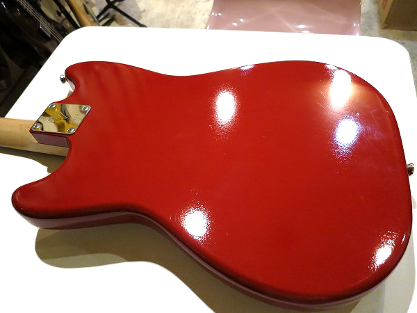 vanzandtbronson (37).jpg 