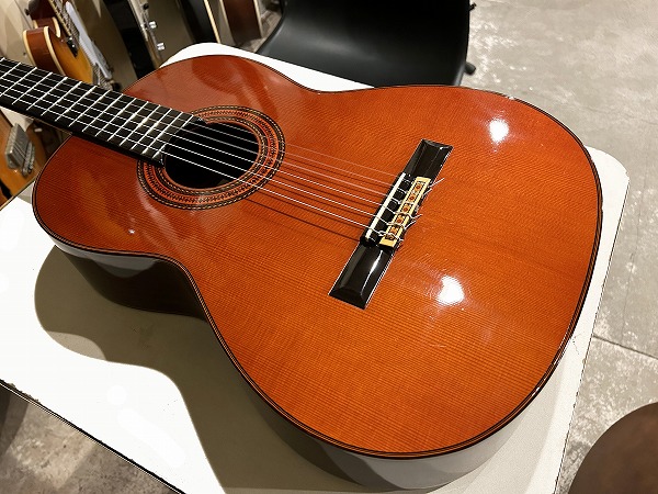 KODAIRA AST50 ARTIST Model 小平ギター工房 - Teenarama! Used Guitar  